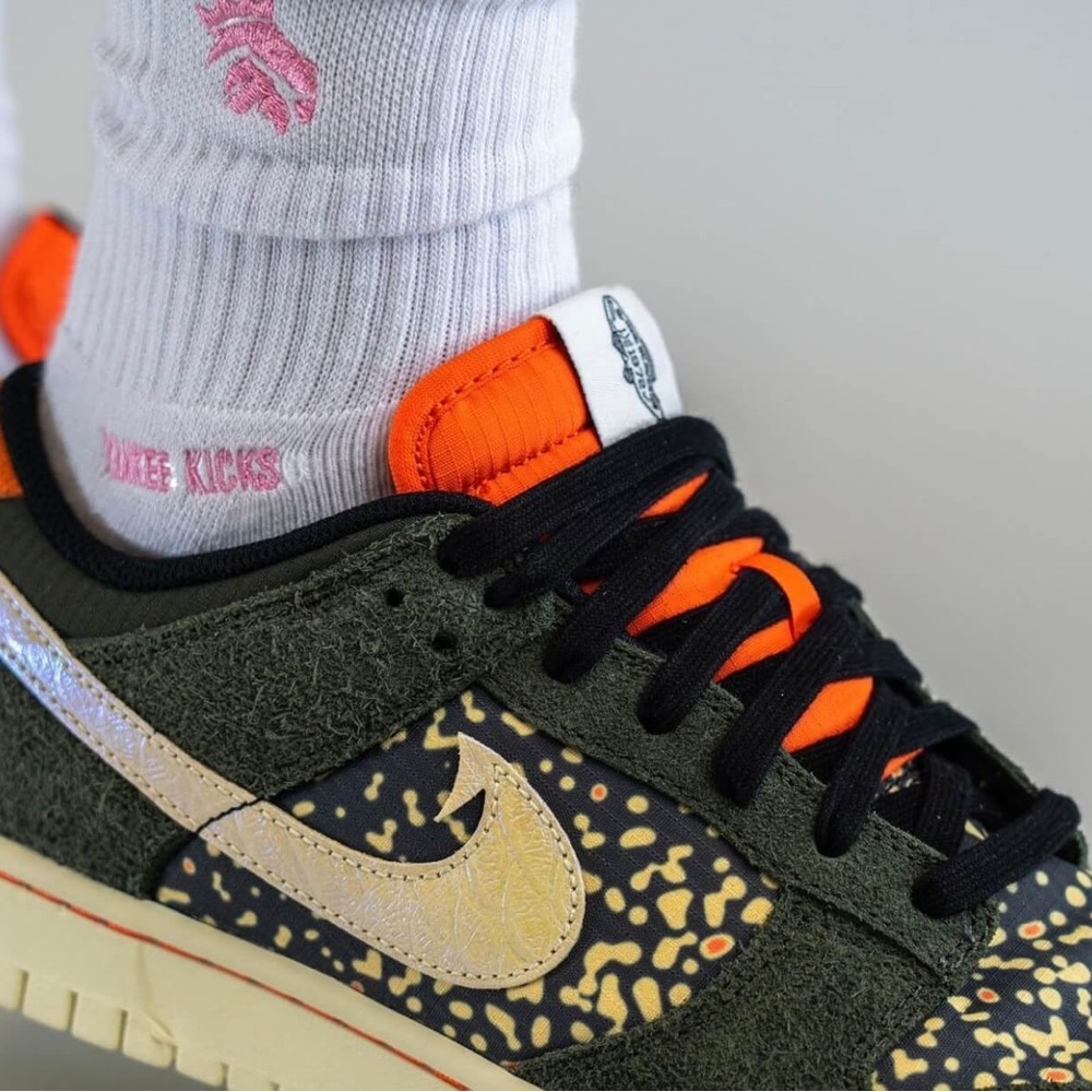 Sz various Nike Dunk Low Rainbow Trout FN7523-300 Men's - Picture 2 of 15